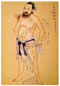acupuncture_meridian_man terapias con meridianos de acupuntura