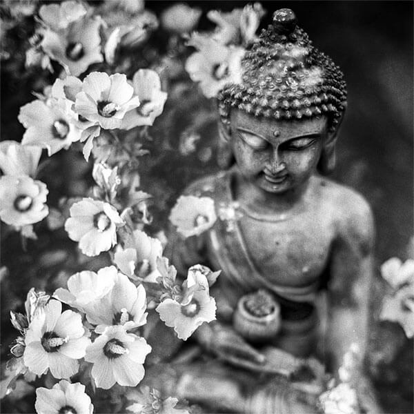 buda statue from retreat center