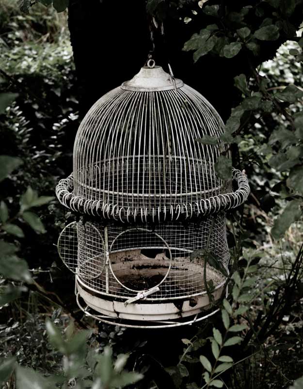 open bird cage