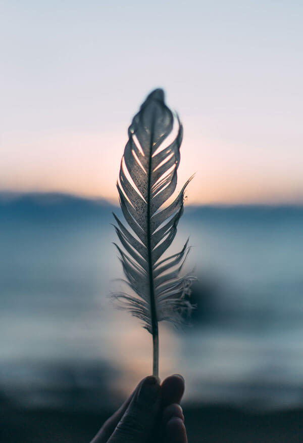 feather hand holding a feather