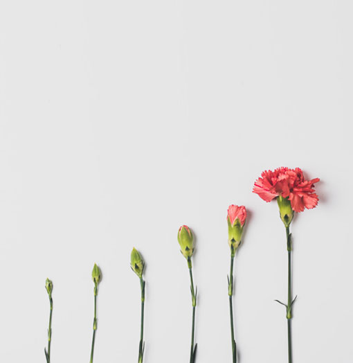 growing process