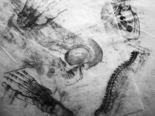 human-drawings drawings of human parts