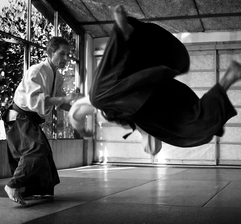 takedashihan-ukemi aikido martial arts at daishizen retreat center